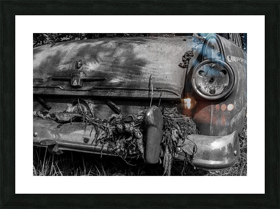 Rust and Decay Picture Frame print