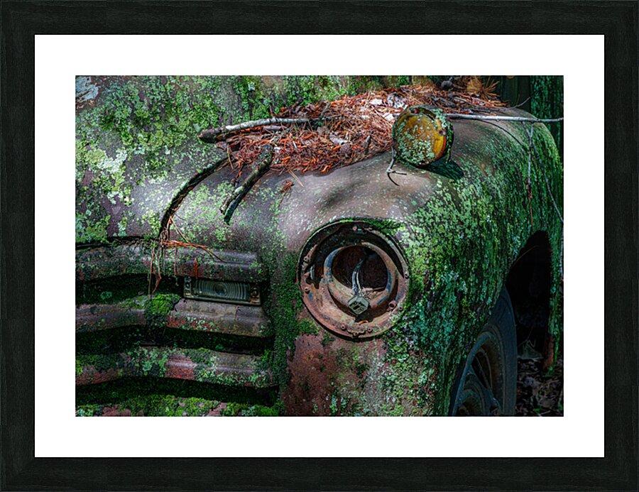Rust and Decay Picture Frame print
