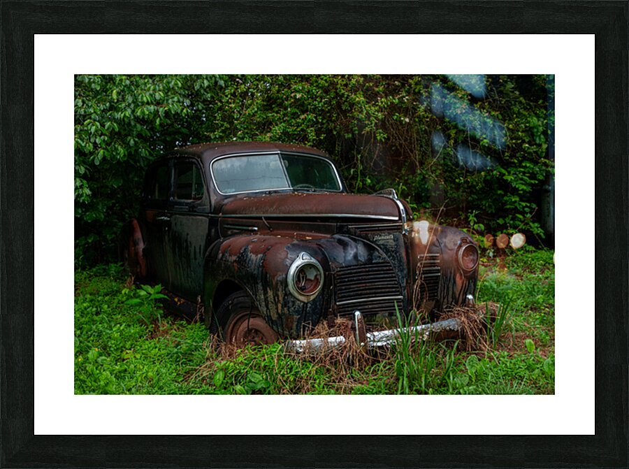 Rust and Decay Picture Frame print