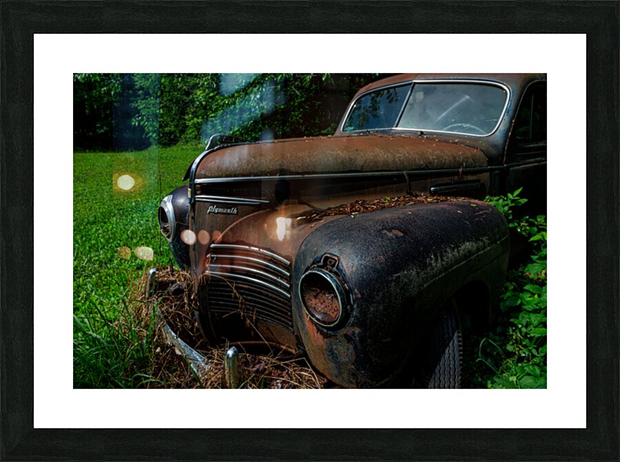 Rust and Decay Picture Frame print