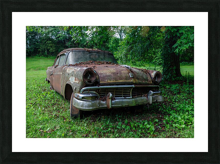 Rust and Decay Picture Frame print