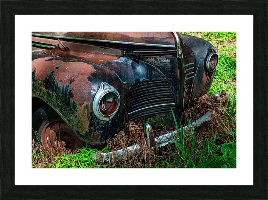Rust and Decay Picture Frame print