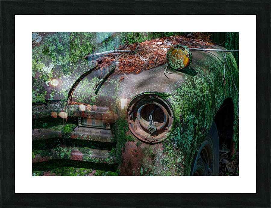 Rust and Decay Picture Frame print