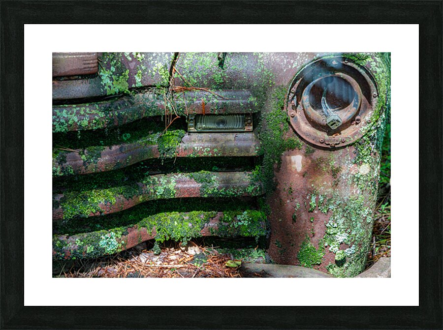 Rust and Decay Picture Frame print