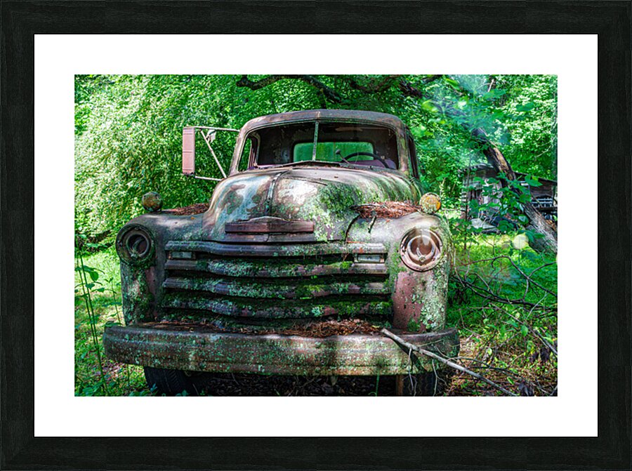 Rust and Decay Picture Frame print