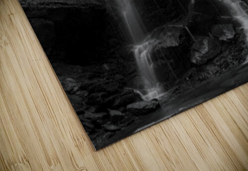 Catawba Falls Roffman Creativity puzzle