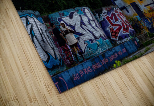 Asheville NC Roffman Creativity puzzle