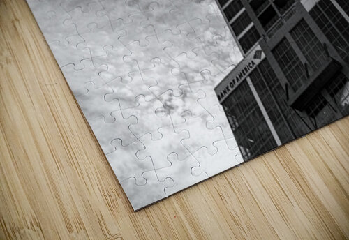 Greenville SC Roffman Creativity puzzle