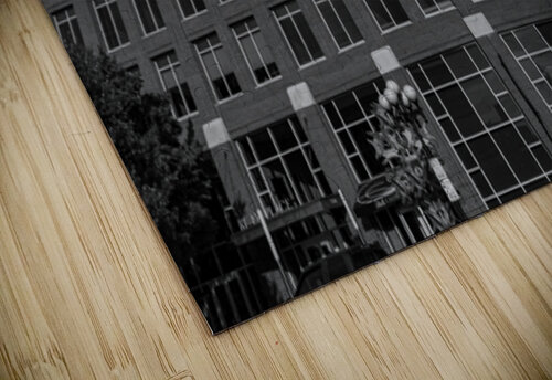 Greenville SC Roffman Creativity puzzle