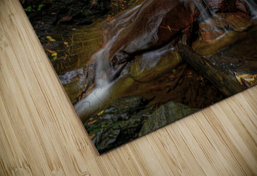 Log Hollow Falls Roffman Creativity puzzle