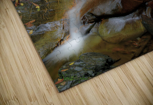 Log Hollow Falls Roffman Creativity puzzle