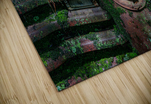 Rust and Decay Roffman Creativity puzzle