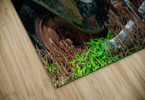 Rust and Decay Roffman Creativity puzzle