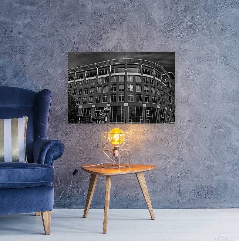 Greenville SC Reproduction