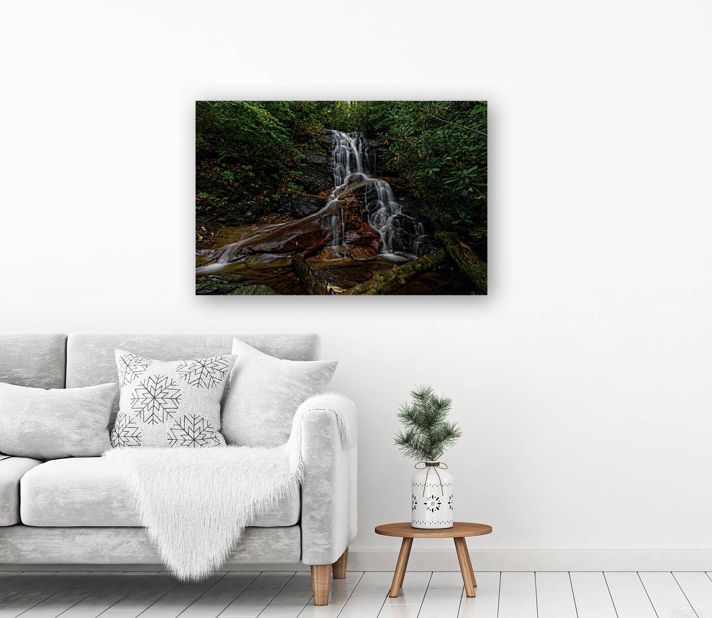 Log Hollow Falls Reproduction