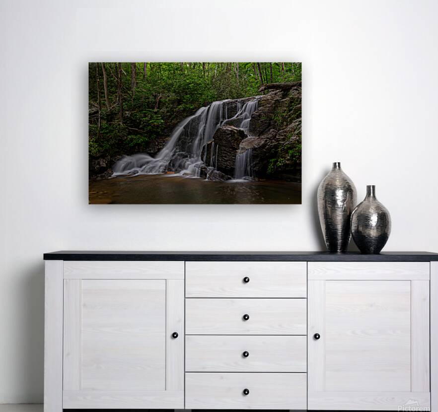 Pisgah Forest Reproduction