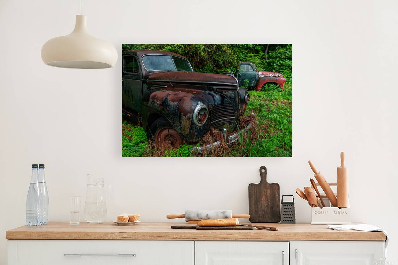 Rust and Decay Reproduction