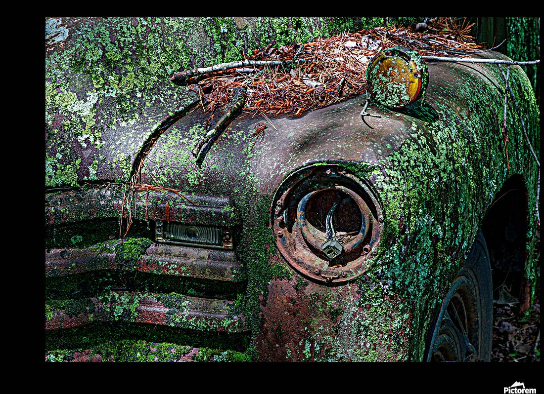 Rust and Decay Reproduction