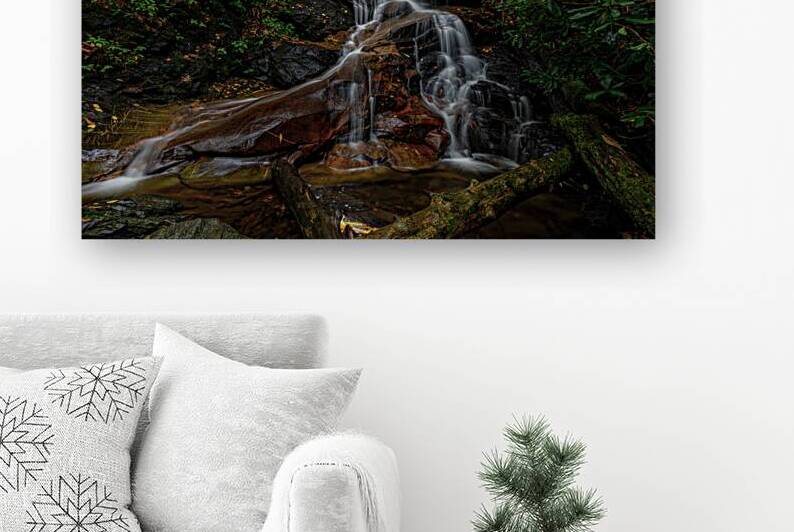 Log Hollow Falls Reproduction