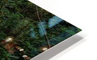 Log Hollow Falls HD Metal print
