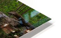 Pisgah Forest HD Metal print