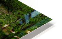 Barrett Branch Falls HD Metal print