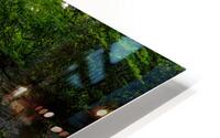 Barrett Branch Falls HD Metal print