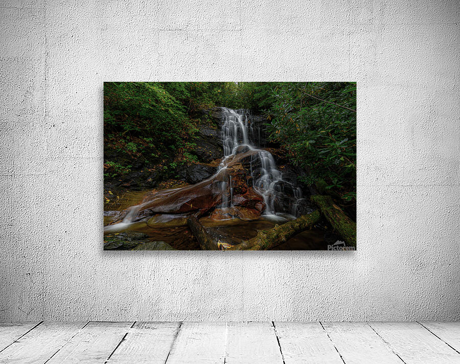 Log Hollow Falls Wall Preview