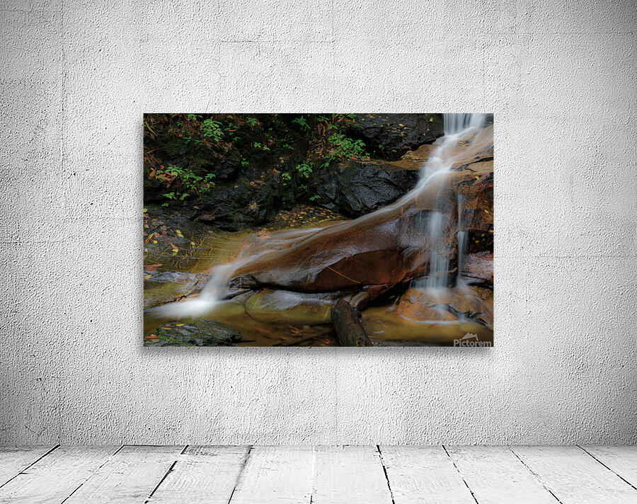 Log Hollow Falls Wall Preview