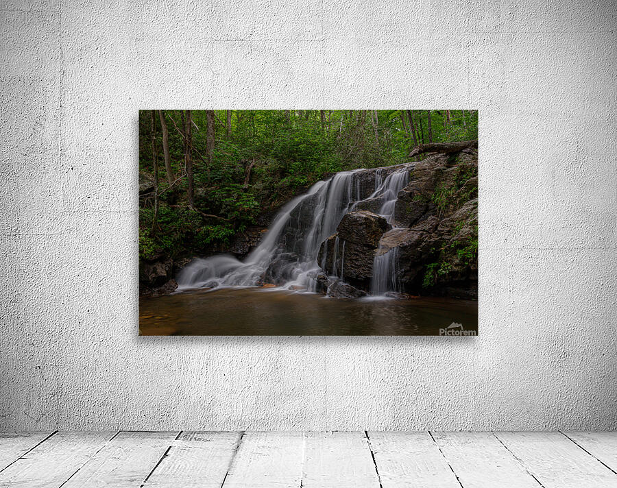 Pisgah Forest Wall Preview