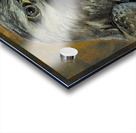over blurry stare Acrylic print