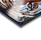reveal the wild Acrylic print