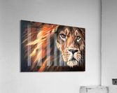 Varies in wild Acrylic Print