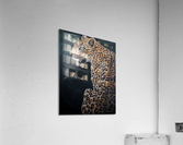 Slouch and wait Acrylic Print