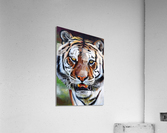 reveal the wild Acrylic Print