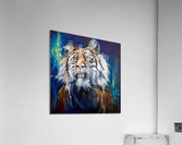Rarely slack Acrylic Print