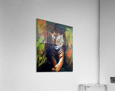 Off the hidden paws Acrylic Print