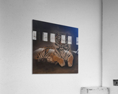 dark sit up Acrylic Print