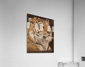 up way sight Acrylic Print