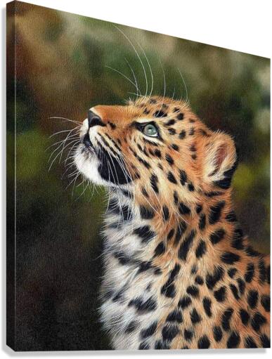 read in fuss Canvas Print