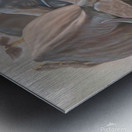 dusty tumble Metal print