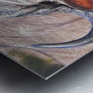 feasibity views Metal print