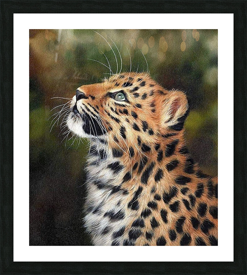 read in fuss Picture Frame print