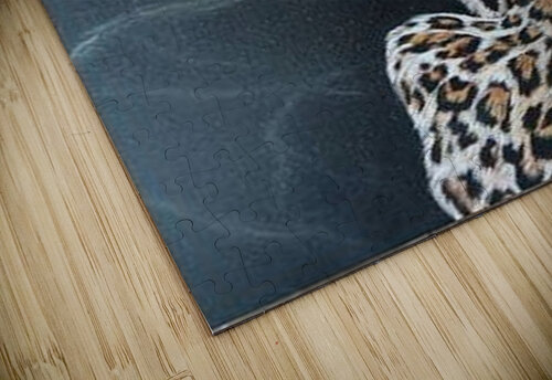 lure due WINNY puzzle