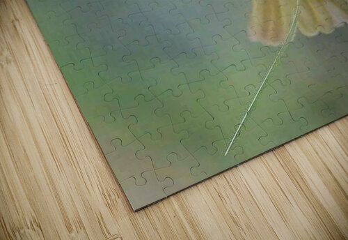 tangle in perch WINNY puzzle