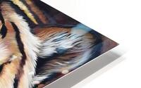reveal the wild HD Metal print