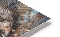 Raw flashes HD Metal print