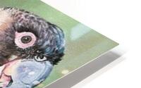 gobble by clinch HD Metal print