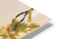 startle with vigor HD Metal print