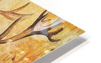 pick with slicks HD Metal print